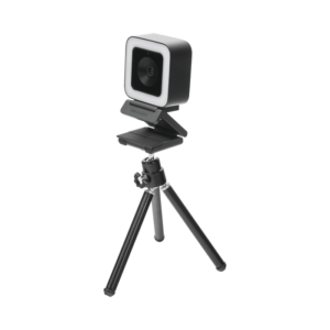 DS-UL2